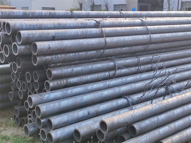 IMG_20230401_160015.jpg IMG_20230401_160015.jpg